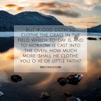 Picture 07 - Luke 12:28 ASV - But if God doth so clothe the grass in the field, - Bible Verse Picture