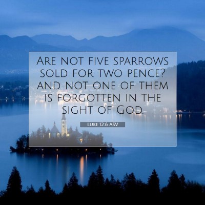 Picture 07 - Luke 12:6 ASV - Are not five sparrows sold for two pence? and not - Bible Verse Picture