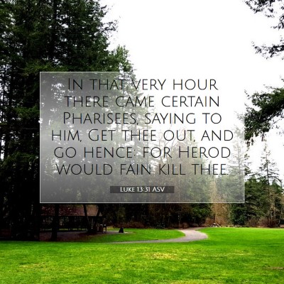 Picture 07 - Luke 13:31 ASV - In that very hour there came certain Pharisees, - Bible Verse Picture