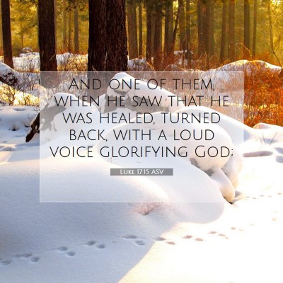 Picture 07 - Luke 17:15 ASV - And one of them, when he saw that he was healed, - Bible Verse Picture