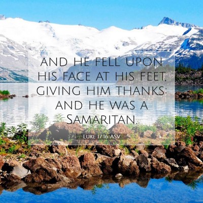 Picture 07 - Luke 17:16 ASV - and he fell upon his face at his feet, giving him - Bible Verse Picture