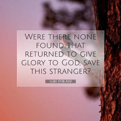 Picture 07 - Luke 17:18 ASV - Were there none found that returned to give glory - Bible Verse Picture