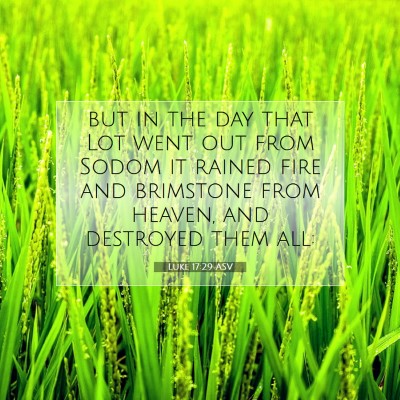 Picture 07 - Luke 17:29 ASV - but in the day that Lot went out from Sodom it - Bible Verse Picture