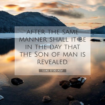 Picture 07 - Luke 17:30 ASV - after the same manner shall it be in the day that - Bible Verse Picture