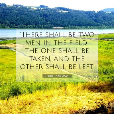 Picture 07 - Luke 17:36 ASV - `There shall be two men in the field; the one - Bible Verse Picture