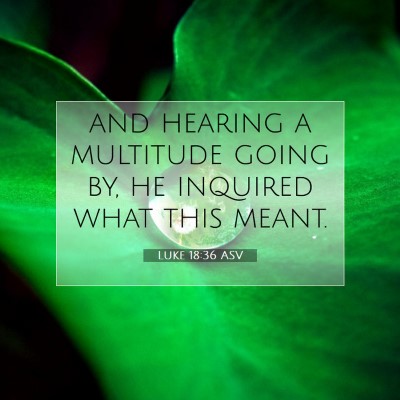 Picture 07 - Luke 18:36 ASV - and hearing a multitude going by, he inquired - Bible Verse Picture