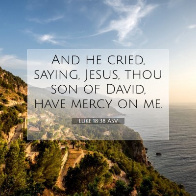 Picture 07 - Luke 18:38 ASV - And he cried, saying, Jesus, thou son of David, - Bible Verse Picture