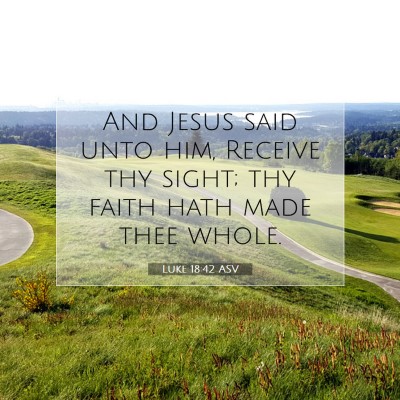 Picture 07 - Luke 18:42 ASV - And Jesus said unto him, Receive thy sight; thy - Bible Verse Picture