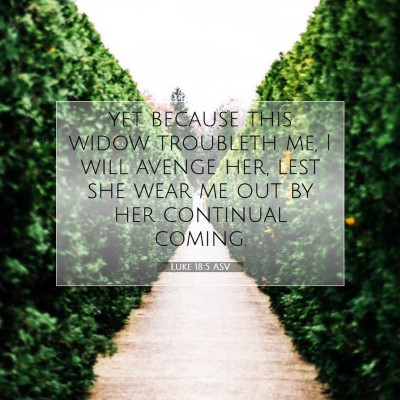 Picture 07 - Luke 18:5 ASV - yet because this widow troubleth me, I will - Bible Verse Picture