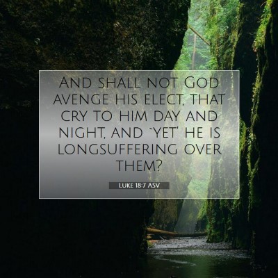 Picture 07 - Luke 18:7 ASV - And shall not God avenge his elect, that cry to - Bible Verse Picture