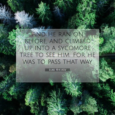 Picture 07 - Luke 19:4 ASV - And he ran on before, and climbed up into a - Bible Verse Picture