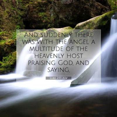Picture 07 - Luke 2:13 ASV - And suddenly there was with the angel a multitude - Bible Verse Picture