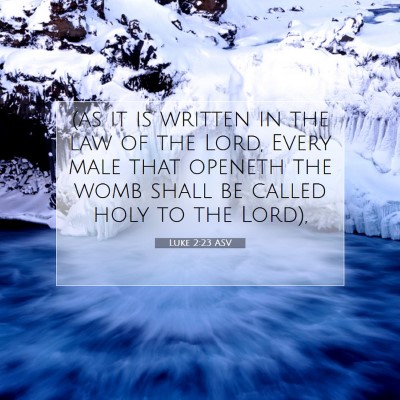 Picture 07 - Luke 2:23 ASV - (as it is written in the law of the Lord, Every - Bible Verse Picture