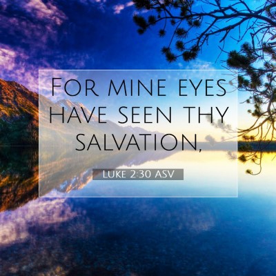 Picture 07 - Luke 2:30 ASV - For mine eyes have seen thy - Bible Verse Picture