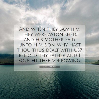 Picture 07 - Luke 2:48 ASV - And when they saw him, they were astonished; and - Bible Verse Picture