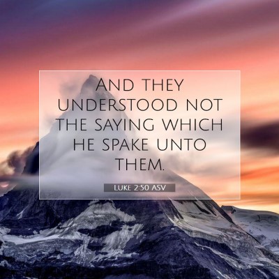 Picture 07 - Luke 2:50 ASV - And they understood not the saying which he spake - Bible Verse Picture