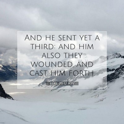 Picture 07 - Luke 20:12 ASV - And he sent yet a third: and him also they - Bible Verse Picture