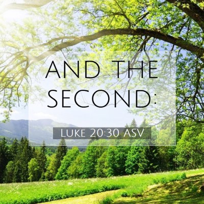 Picture 07 - Luke 20:30 ASV - and the - Bible Verse Picture