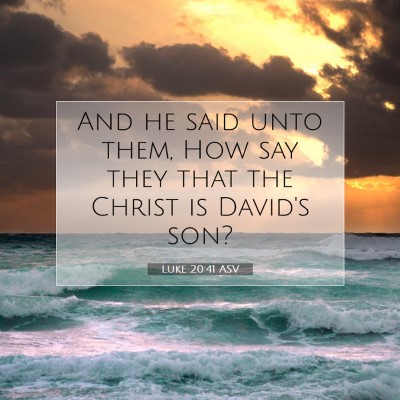 Picture 07 - Luke 20:41 ASV - And he said unto them, How say they that the - Bible Verse Picture