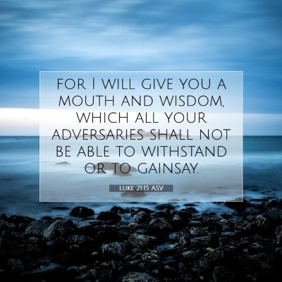 Picture 07 - Luke 21:15 ASV - for I will give you a mouth and wisdom, which all - Bible Verse Picture