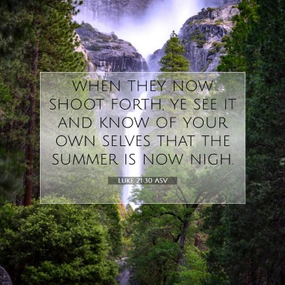 Picture 07 - Luke 21:30 ASV - when they now shoot forth, ye see it and know of - Bible Verse Picture