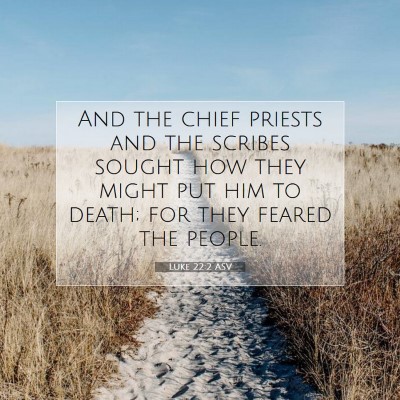 Picture 07 - Luke 22:2 ASV - And the chief priests and the scribes sought how - Bible Verse Picture