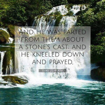 Picture 07 - Luke 22:41 ASV - And he was parted from them about a stone's cast; - Bible Verse Picture