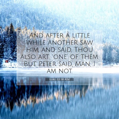 Picture 07 - Luke 22:58 ASV - And after a little while another saw him, and - Bible Verse Picture