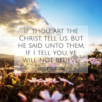 Picture 07 - Luke 22:67 ASV - If thou art the Christ, tell us. But he said unto - Bible Verse Picture