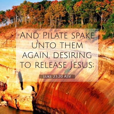 Picture 07 - Luke 23:20 ASV - And Pilate spake unto them again, desiring to - Bible Verse Picture