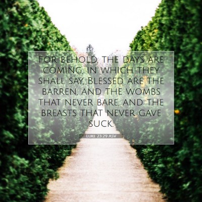 Picture 07 - Luke 23:29 ASV - For behold, the days are coming, in which they - Bible Verse Picture