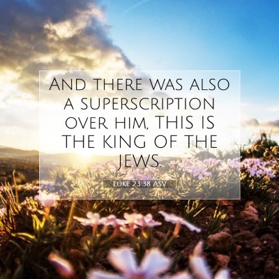 Picture 07 - Luke 23:38 ASV - And there was also a superscription over him, - Bible Verse Picture