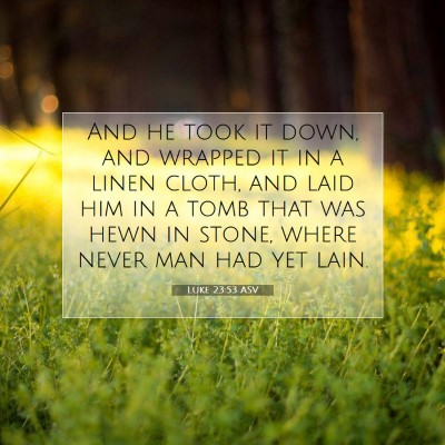 Picture 07 - Luke 23:53 ASV - And he took it down, and wrapped it in a linen - Bible Verse Picture