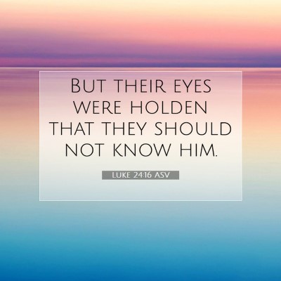 Picture 07 - Luke 24:16 ASV - But their eyes were holden that they should not - Bible Verse Picture