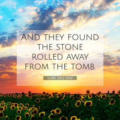 Picture 07 - Luke 24:2 ASV - And they found the stone rolled away from the - Bible Verse Picture