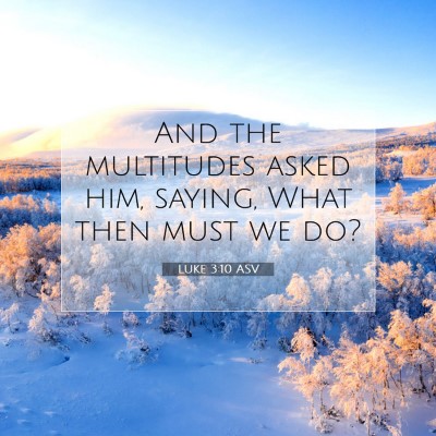 Picture 07 - Luke 3:10 ASV - And the multitudes asked him, saying, What then - Bible Verse Picture