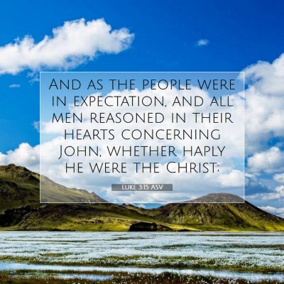 Picture 07 - Luke 3:15 ASV - And as the people were in expectation, and all - Bible Verse Picture