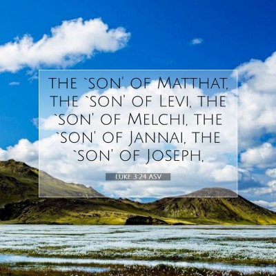 Picture 07 - Luke 3:24 ASV - the `son' of Matthat, the `son' of Levi, the - Bible Verse Picture