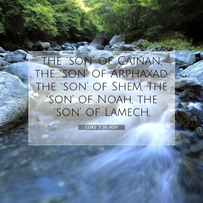 Picture 07 - Luke 3:36 ASV - the `son' of Cainan, the `son' of Arphaxad, the - Bible Verse Picture