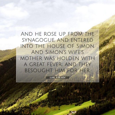 Picture 07 - Luke 4:38 ASV - And he rose up from the synagogue, and entered - Bible Verse Picture