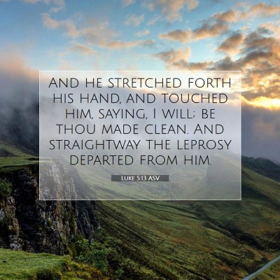 Picture 07 - Luke 5:13 ASV - And he stretched forth his hand, and touched him, - Bible Verse Picture