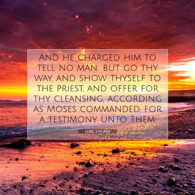 Picture 07 - Luke 5:14 ASV - And he charged him to tell no man: but go thy - Bible Verse Picture