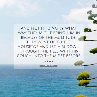Picture 07 - Luke 5:19 ASV - And not finding by what `way' they might bring - Bible Verse Picture