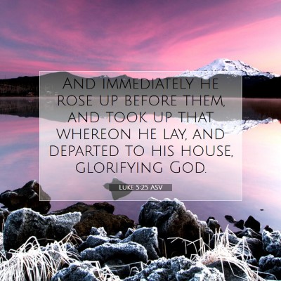 Picture 07 - Luke 5:25 ASV - And immediately he rose up before them, and took - Bible Verse Picture