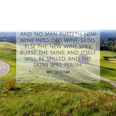 Picture 07 - Luke 5:37 ASV - And no man putteth new wine into old wine-skins; - Bible Verse Picture