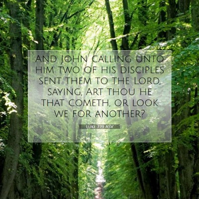 Picture 07 - Luke 7:19 ASV - And John calling unto him two of his disciples - Bible Verse Picture