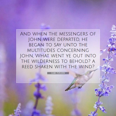 Picture 07 - Luke 7:24 ASV - And when the messengers of John were departed, he - Bible Verse Picture