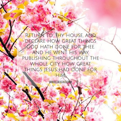 Picture 07 - Luke 8:39 ASV - Return to thy house, and declare how great things - Bible Verse Picture