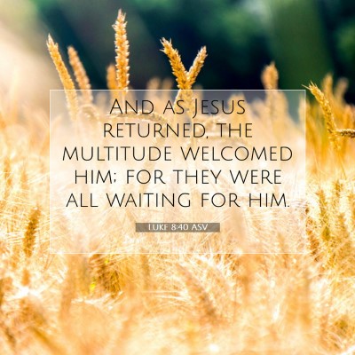 Picture 07 - Luke 8:40 ASV - And as Jesus returned, the multitude welcomed - Bible Verse Picture