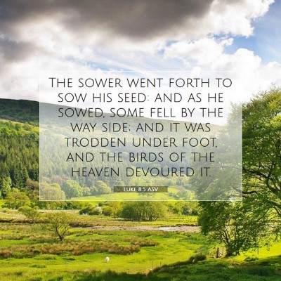 Picture 07 - Luke 8:5 ASV - The sower went forth to sow his seed: and as he - Bible Verse Picture